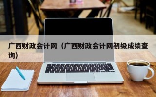 广西财政会计网（广西财政会计网初级成绩查询）