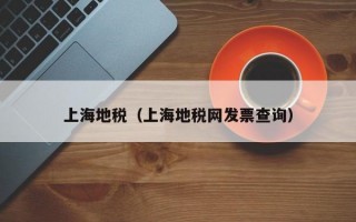 上海地税（上海地税网发票查询）